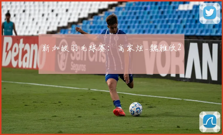 新加坡羽毛球赛：高家炫_魏雅欣2